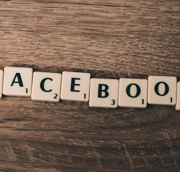 website authority professional services