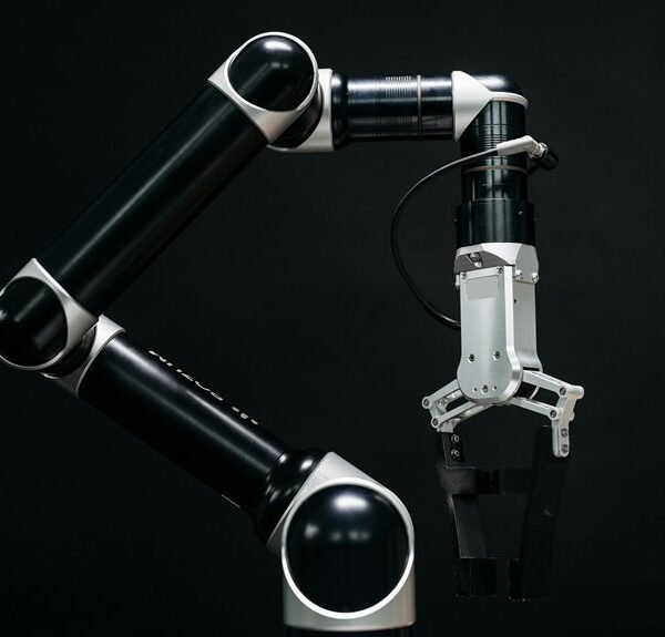 dynamic digital system 969973408web engine